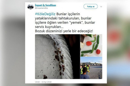 Tahta kuruları ve uçan saraylar