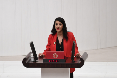 Sevda Karaca, engelli bakım hizmetlerini Aile Bakanına sordu