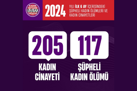 6 ayda 205 kadın cinayeti!