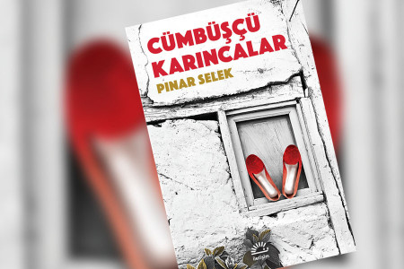 GÜNÜN KİTABI: Cümbüşçü Karıncalar