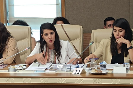EMEP Milletvekili Sevda Karaca Bakan Yerlikaya’ya kadınların yaşadıklarını sordu