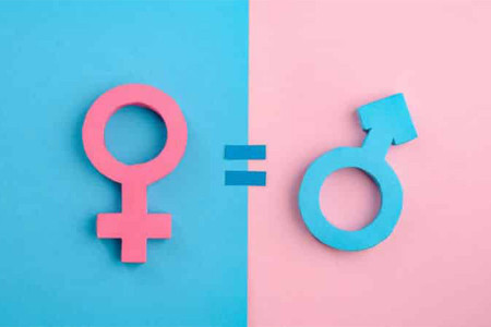 MEB ‘Toplumsal Cinsiyet Eşitliği’ni yönetmelikten çıkardı