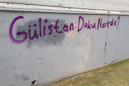 Gülistan Doku 34 gündür kayıp, soruşturma genişletilsin