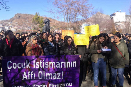 Dersim Barosu Kadın ve Çocuk Hakları Komisyonu: Bir yılda 27 başvuru yapıldı