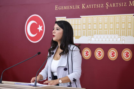 Sağlık Bakanlığı bütçesi görüşülüyor | Karaca: Sisteminiz ölüm, hastalık ve çete yaratarak kâr ediyor